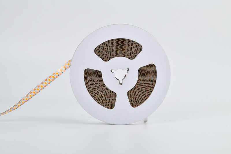 燈帶.JPG 燈帶.JPG